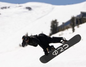  Gnu Facts Alles over de Gnu Facts