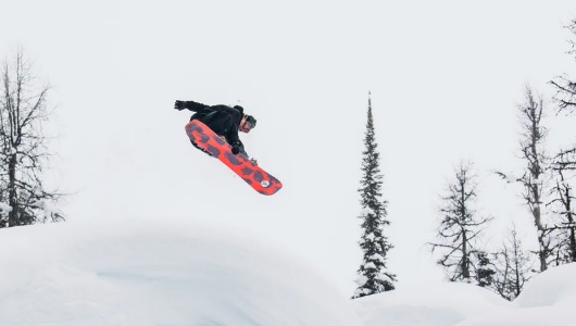  Burton Family Tree Hometown Hero Alles over de Burton Family Tree Hometown Hero