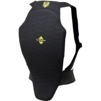 amplifi reactor pack