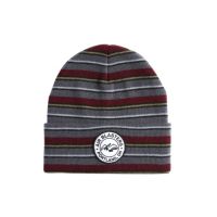 Airblaster Team Beanie sick stripe