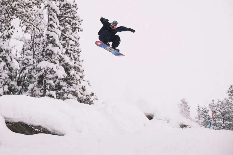 Video Nidecker Gamma APX
