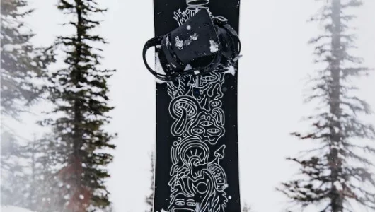  Burton Counterbalance Camber hallucinate Alles over de Burton Counterbalance Camber