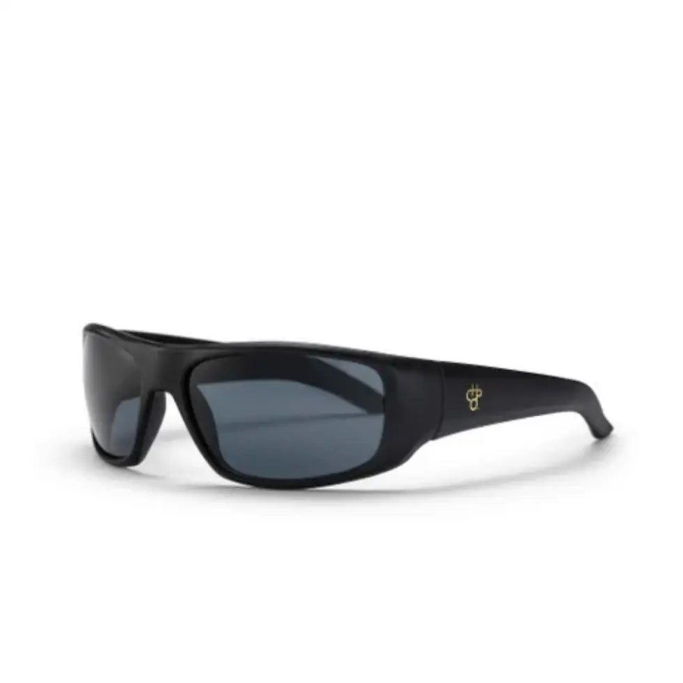 CHPO Ingemar zonnebril matte black black