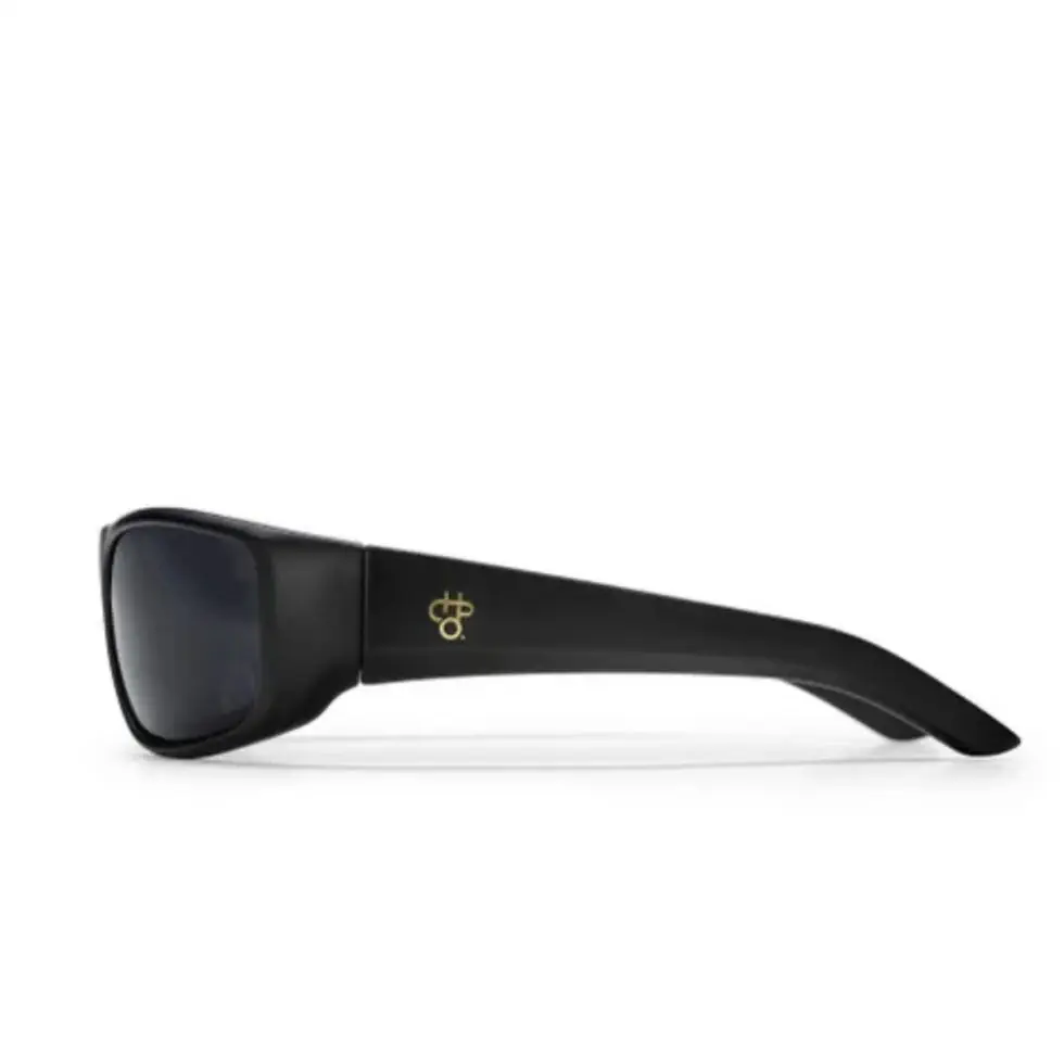 CHPO Ingemar zonnebril matte black black
