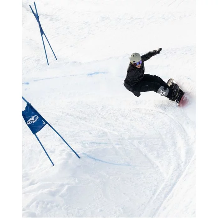 Lib\u0020Tech\u0020Dynamiss