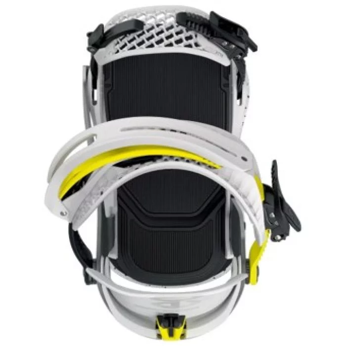 Bataleon\u0020Blaster\u0020AW\u0020Fase\u0020To\u0020Gray