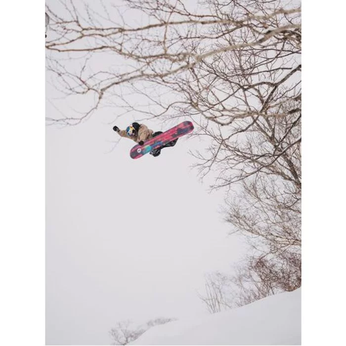 Burton\u0020Family\u0020Tree\u0020Gril\u0020Master