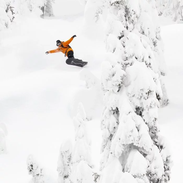 Lib\u0020Tech\u0020Rig