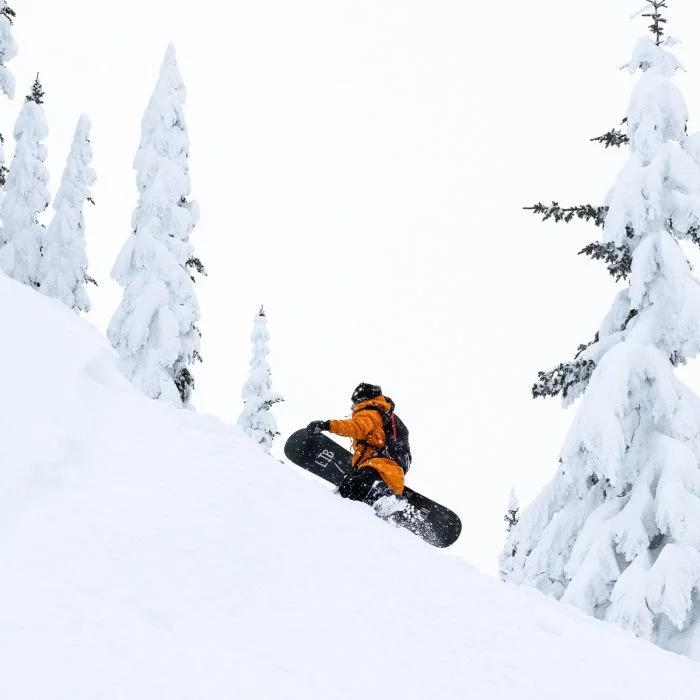 Lib\u0020Tech\u0020Rig