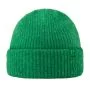 Poederbaas\u0020Arctic\u0020Beanie\u0020Island\u0020Green